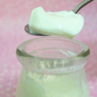 Hokkaido Milk Pudding